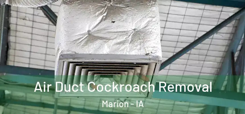  Air Duct Cockroach Removal Marion - IA