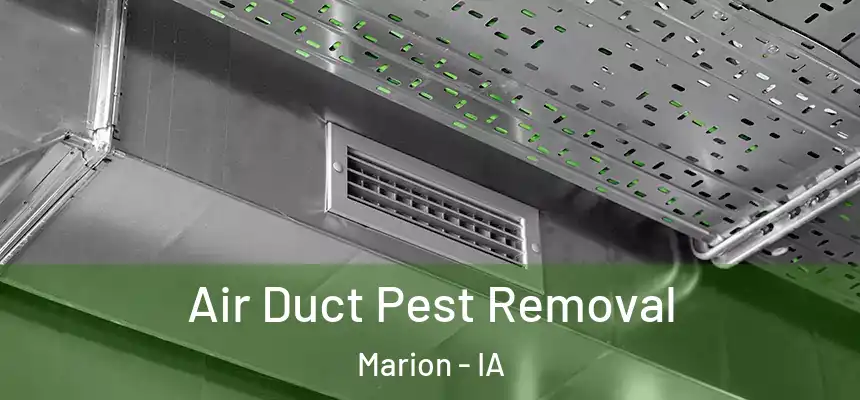  Air Duct Pest Removal Marion - IA
