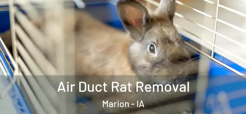  Air Duct Rat Removal Marion - IA