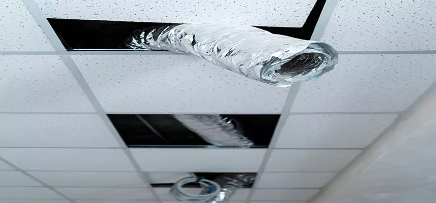 Our Air Duct Pet Hair Removal Services in Marion, IA