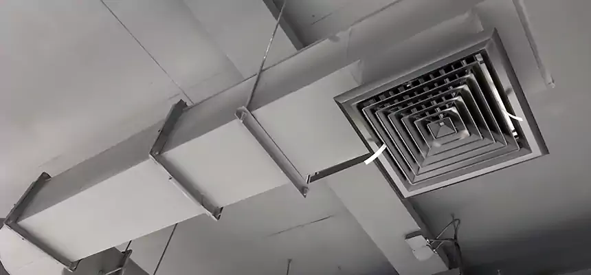 Our Pest Removal From Ducts Services in Marion, IA