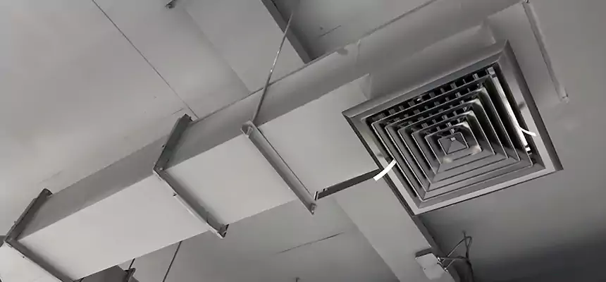 Our Rodent Droppings In Vents Services in Marion, IA