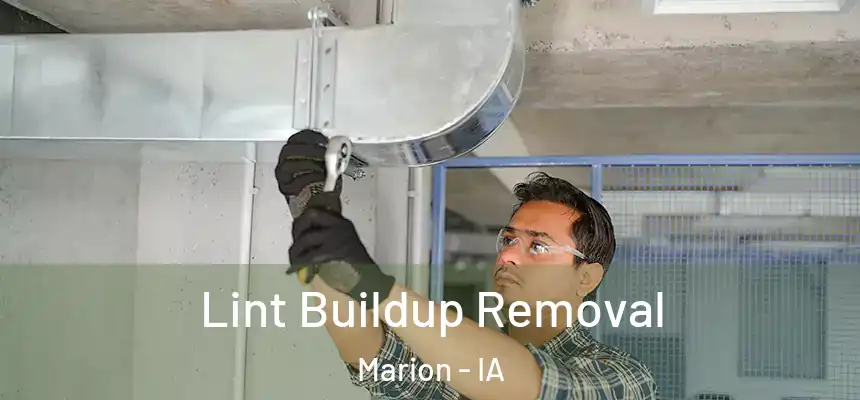  Lint Buildup Removal Marion - IA