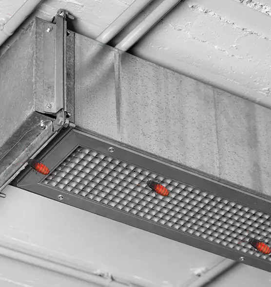 About Air Duct Cockroach Removal in Marion, IA