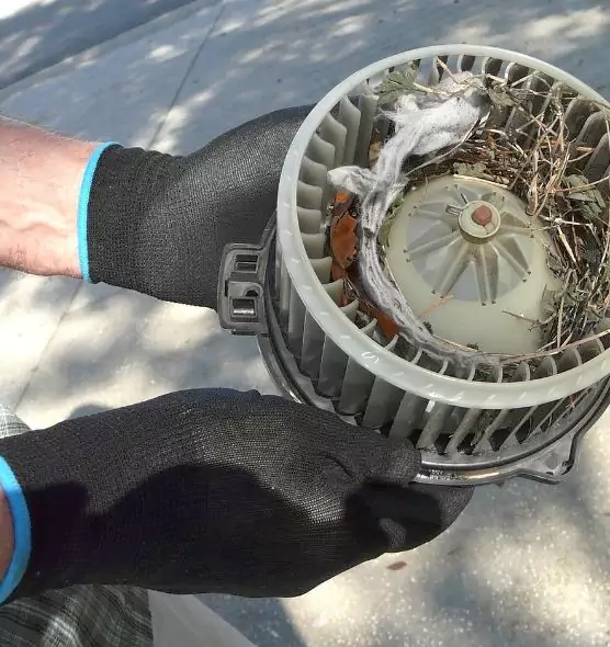 About Air Duct Mice Removal in Marion, IA