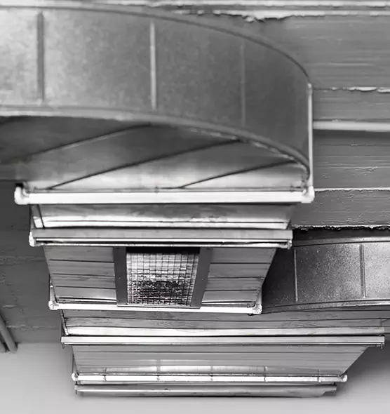 Professional Air Duct Pest Removal in Marion, IA