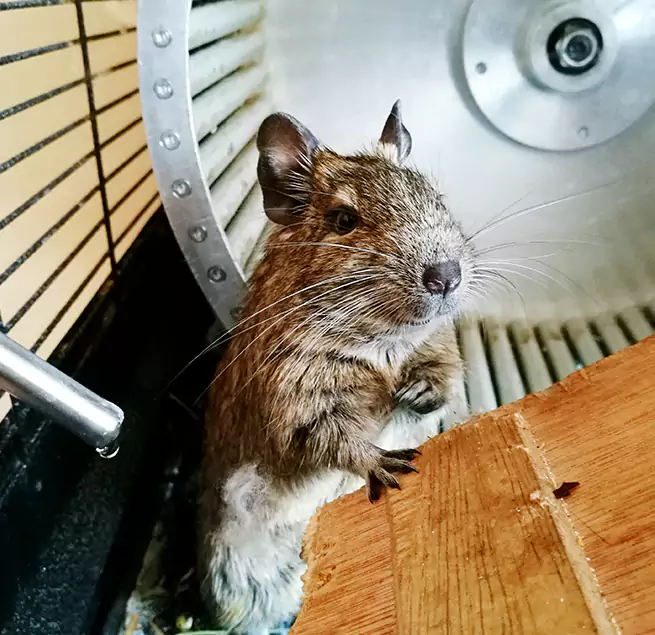 Why Homeowners & Businesses Trust Us Marion, IA?